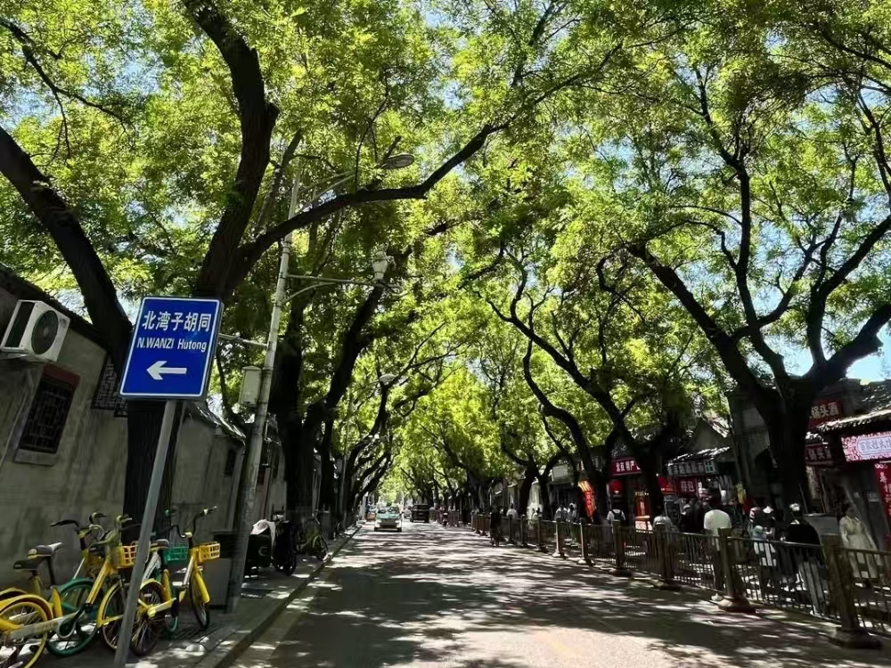 Beijing Great Wall