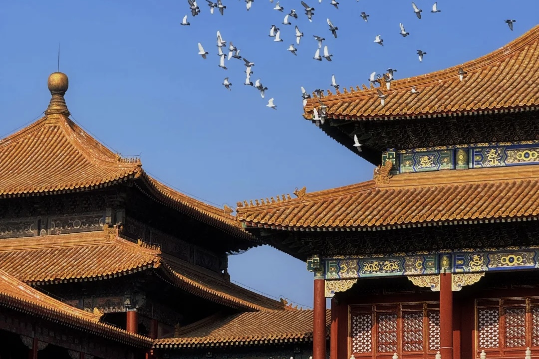 How to Visit the Forbidden City Without the Crowds (Expert Tips)